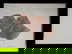 item-205479134=1
