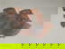 item-205479134=2