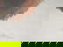 item-205479134=3