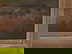 item-205479210=3