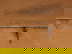 item-205730725=4