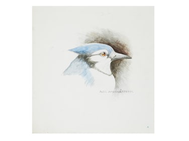 ARGENTINIAN BIRD PAINTING BY AXEL AMUCHASTEGUI SIGNED