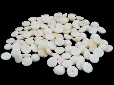 LARGE COLLECTION OF ROUND WHITE CORAL BEADS