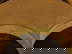 item-208468846=7
