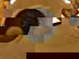 item-208468846=8