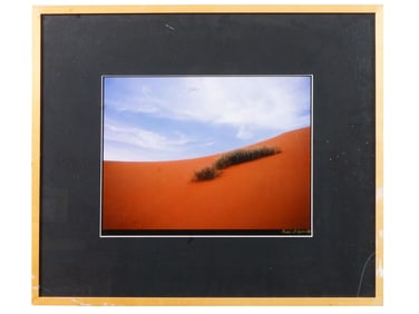 SAUDI ARABIAN PHOTO BY MADEHA AL AJROUSH SIGNED