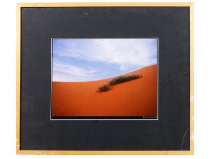 SAUDI ARABIAN PHOTO BY MADEHA AL AJROUSH SIGNED: Madeha al Ajroush, Saudi Arabian, born 1955, color photograph, Earth, depicting a landscape with plants in a desert. Signed lower right. Framed. A paper label of the Jadite Galleries, on the