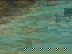 item-208518509=2