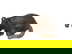 item-208518612=4