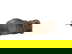 item-208518612=5