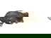 item-208518612=6