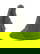 item-208518812=3