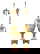 item-209013048=1