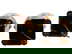 item-209013048=6