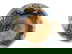 item-209013096=7