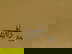 item-209035811=4
