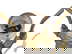 item-209036026=5