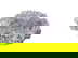 item-209036035=2