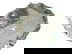 item-209036035=5