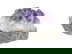 item-209036036=4