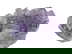 item-209036038=2
