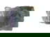 item-209036038=4