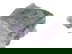 item-209036038=5