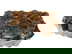 item-209036039=5