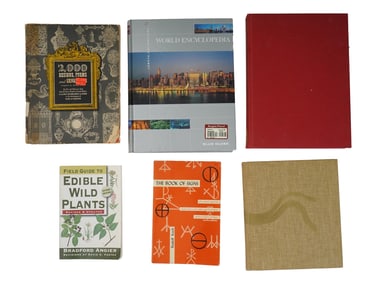 SIX VINTAGE VARIOUS THEMED BOOKS INCLUDING ART