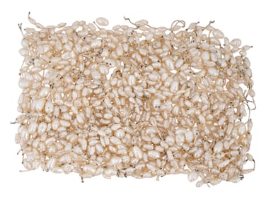 COLLECTION OF NATURAL BAROQUE PEARL BEADS FOR JEWELRY