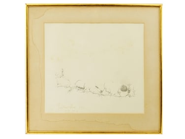 ANTIQUE AMERICAN PENCIL ON PAPER BOTANICAL PAINTING