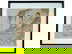 item-209397807=1