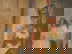 item-210186928=3