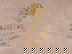 item-210187050=12