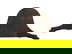item-210187061=5