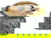 item-210187073=7
