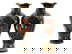 item-210187160=4