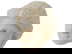 item-210187228=1