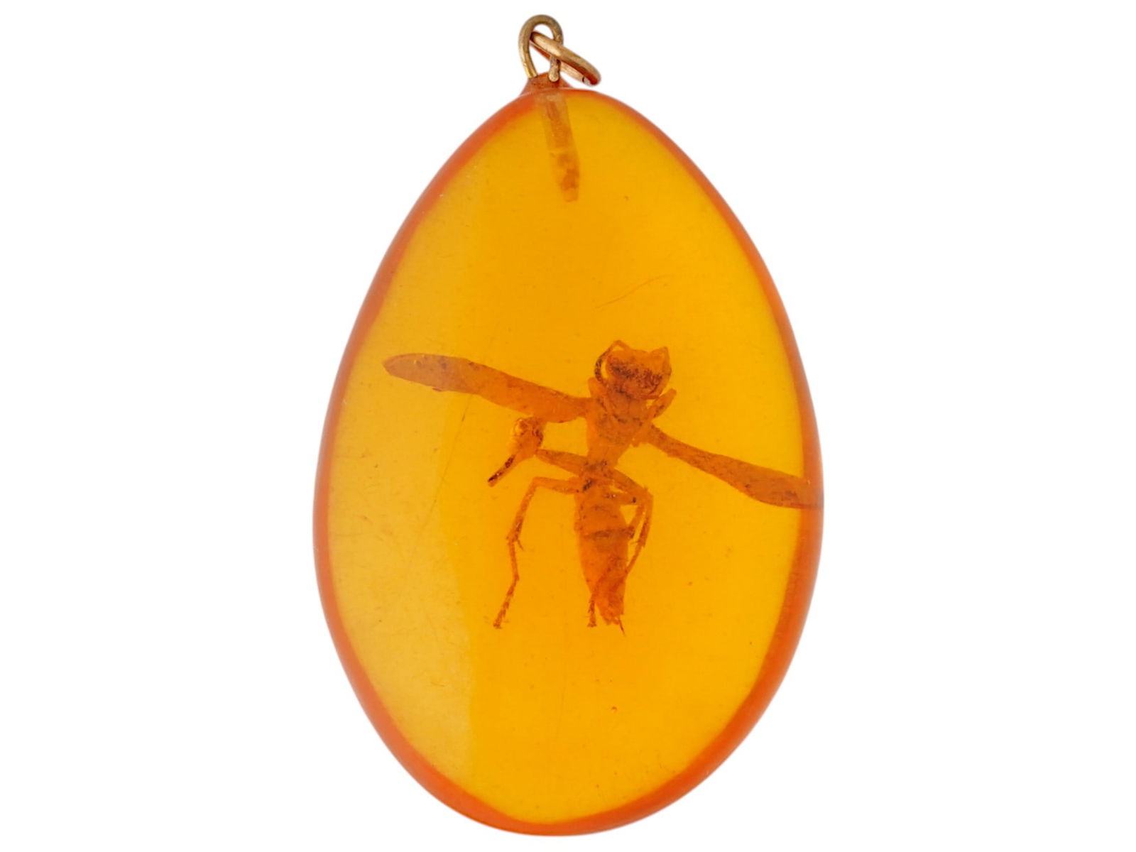 ANCIENT AMBER BEAD PENDANT WITH INSECT INCLUSION: An ancient amber bead pendant, preserved with a captivating insect inclusion suspended within its translucent resin. This rare specimen, dating back approximately 12 million years, is fitted with a su