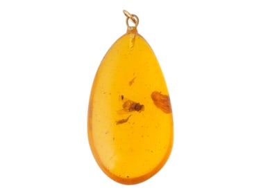 ANCIENT PREHISTORIC AMBER PENDANT WITH INSECT INSIDE