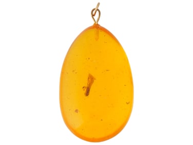 ANCIENT PREHISTORIC AMBER PENDANT W INSECT INSIDE