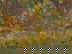 item-210607006=3