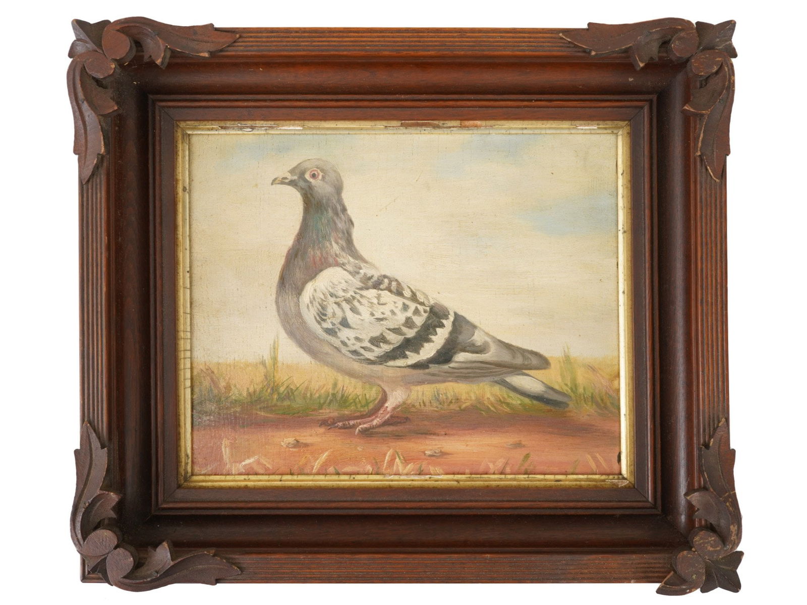 ANTIQUE OIL ON WOOD BOARD RACING PIGEON PAINTING (1 of 4)
