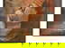 item-210607143=2