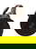 item-210607216=5