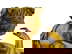 item-210607221=10