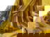 item-210607221=14