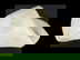 item-210607224=6