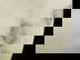 item-210607224=8