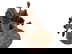 item-210607277=6